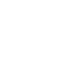 Executive  Search